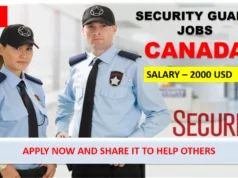 Security Industry: Entry-Level Jobs in Canada for Immigrants Without Certificates