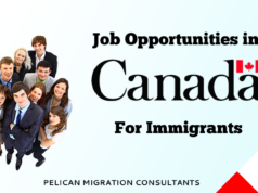 Seamless Transition: Easy Entry Jobs with Sponsorship in Canada