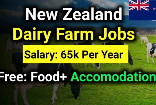 Farm Jobs and Immigration Pathways in New Zealand