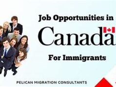 Top-Paying Remote Jobs for Migrant Professionals Seeking Sponsorship and Flexibility in Canada