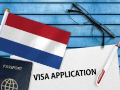 Explore the Top Netherlands Jobs Offering Visa Sponsorship and How to Apply