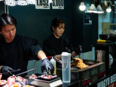 Japan High Skilled Professional Visa 2027: Salary & Fast-Track Guide