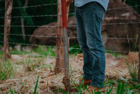 New Zealand Farm Jobs & Visa Sponsorship 2026
