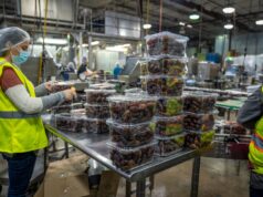 Visa-Sponsored Food Manufacturing Jobs Worldwide 2026: $50K–$120K