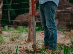Farm Jobs with Visa Sponsorship: Global Pathways 2026
