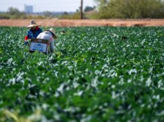 Farm Work Visa Sponsorship USA 2027: H-2A Guide & Employer List