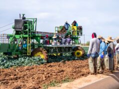 Foreign Farm Workers Visa 2027: Best Paying Countries & How to Apply