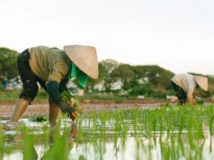 Foreign Farm Workers Visa 2027: Global Requirements & Application Guide
